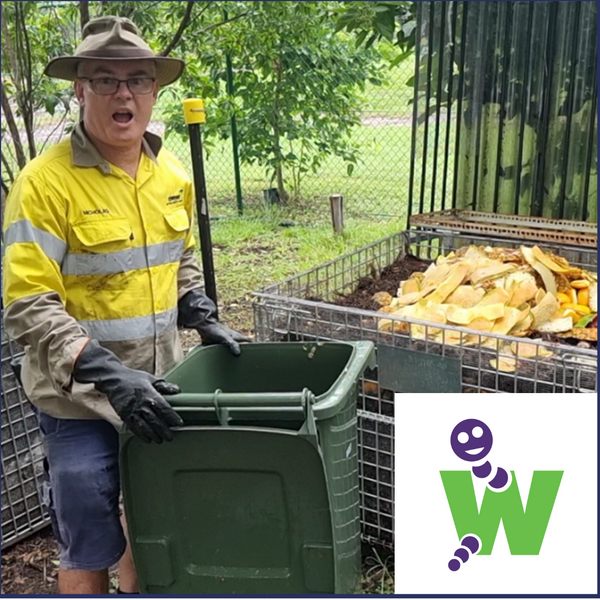 Stillage cage composting: Tips and benefits