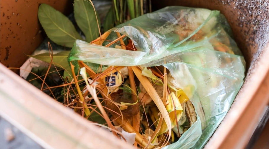 The myth of ‘home-compostable’ plastics